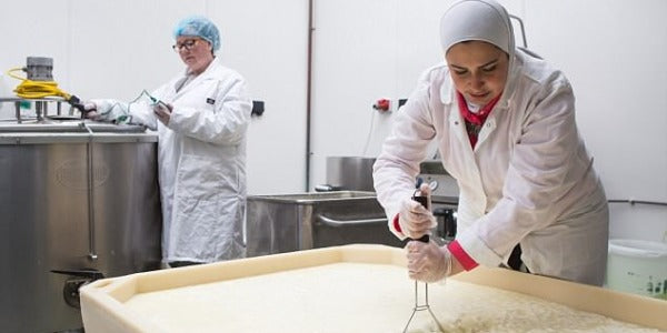 The History of Halloumi Cheese